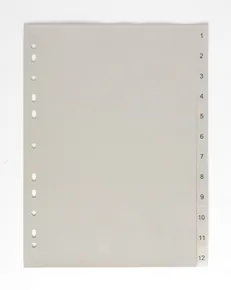 Trennblatt A4, 1-12 PP 120my